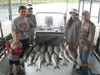 (05/28/2014) - Nice Striped Bass